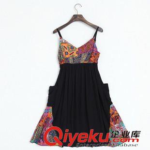 長(zhǎng)袖長(zhǎng)裙 2015新款民族風(fēng)優(yōu)品女裝修身顯瘦印花拼接口袋中長(zhǎng)款連衣裙原始圖片3