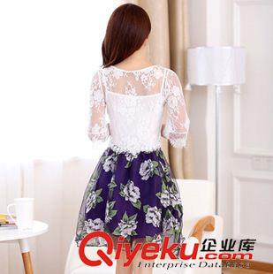 2015時尚套裝 新款歐根紗連衣裙2014女韓版蕾絲印花兩件套女裝連衣裙原始圖片3