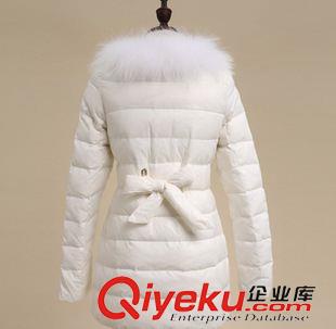 未分類(lèi) 2014冬季新款羽絨服貉子毛領(lǐng)保暖修身羽絨服女【備戰(zhàn)11.11】原始圖片3