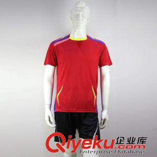 乒羽套裝 2015批發新款套裝 情侶羽毛球運動服 休閑服班服定制 羽毛球服