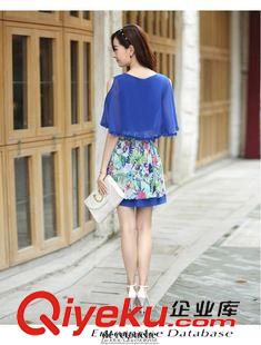 2015年4月新款 春夏季新款女裝OL印花裙修身顯瘦兩件套裝碎花雪紡連衣裙原始圖片2