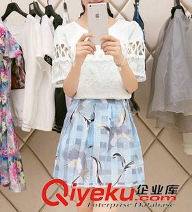 2015年6月新款 韓國(guó)2015春夏新款女裝兩件套高腰連衣裙圓領(lǐng)套裝蓬蓬a字裙女原始圖片3