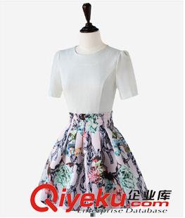 連衣裙 夏季新款修身氣質淑女圓領拼接收腰短袖假兩件印花雪紡連衣裙原始圖片3