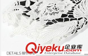 連衣裙 2015夏季新款歐美大碼胖MM質(zhì)感水溶蕾絲拼接簡約設(shè)計(jì)連衣裙原始圖片3