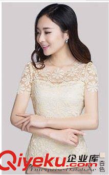 天天tj 蕾絲打底衫女 短袖2014夏裝新款小衫春秋潮T恤韓版上衣短袖t恤女