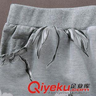 2015年3月新款 歐洲站 歐根紗印花休閑套頭短袖衛衣短裙套裝運動套裝1242#原始圖片3