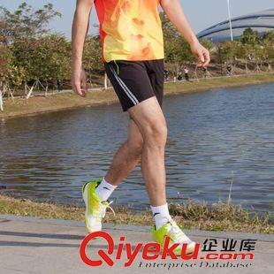 運動短褲/中長褲 一件代發2015中健新款運動休閑短褲 男女款跑步健身速干褲原始圖片2