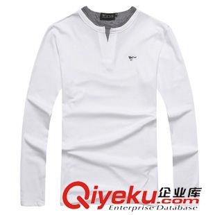 T恤 襯衫 2015秋季男裝品牌時尚新款純棉修身休閑長袖T恤815#經典百搭原始圖片2