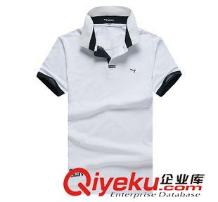T恤 襯衫 ？2015夏季新款男士短袖t恤純棉韓版休閑翻領(lǐng)T恤男上衣原始圖片2