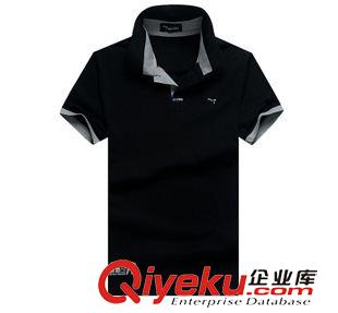 T恤 襯衫 ？2015夏季新款男士短袖t恤純棉韓版休閑翻領(lǐng)T恤男上衣原始圖片3
