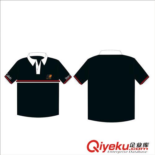 POLO T-shirt Stan caleb 工廠定制 批發(fā) Polo T-shirt T恤 運(yùn)動(dòng)T恤 POLO衫原始圖片2