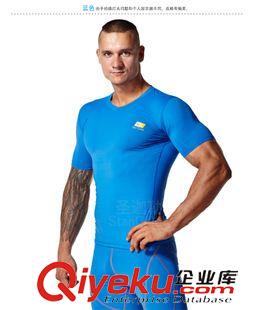 緊身衣 運動緊身衣 男士跑步  短袖圓領(lǐng)  健身衣 廠家直銷 批發(fā)零售