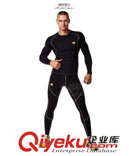 緊身衣 運(yùn)動(dòng)緊身衣長(zhǎng)袖 男士圓領(lǐng) 健身衣  stancaleb 廠家直銷(xiāo) 批發(fā)零售原始圖片2