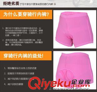 騎行內褲 圣迦勒 騎行內褲 女士騎行短褲  自行車短褲 廠家直供 批發零售