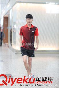 ----男款套裝區(qū)--- 2015 {zx1}款 蝴蝶 吸濕排汗 男款翻領 乒乓球服套裝原始圖片2