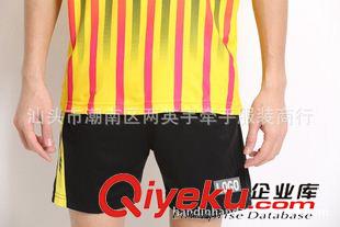 ----情侶套裝區(qū)--- 大廠直供  李宗 偉 圓領(lǐng)  快干透氣國家比賽團體隊服套裝3325原始圖片2