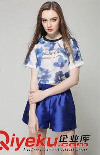 2015歐美gd面料潮裝 2015夏季新款  歐美時(shí)尚套裝女雪紡印花T恤高腰闊腿短褲兩件套原始圖片2