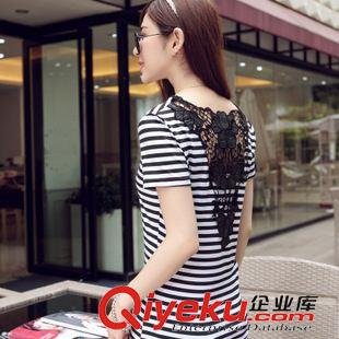cdjT恤 2015夏裝新款  顯瘦條紋半袖女蕾絲t恤 韓版修身短袖體恤衫原始圖片3