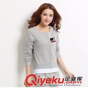 大碼女裝 歐洲站2015春裝新款 歐美時(shí)尚三件套套裝女運(yùn)動(dòng)套裝衛(wèi)衣40464原始圖片3