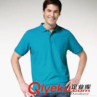 T恤衫（polo衫） 廠家定做POLO衫 外貿(mào)POLO衫 男式POLO衫 繡花POLO衫