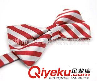 領(lǐng)帶 領(lǐng)結(jié) 供應(yīng)深圳男士商務(wù)領(lǐng)帶、男士休閑領(lǐng)帶、滌絲印花領(lǐng)帶訂做廠家